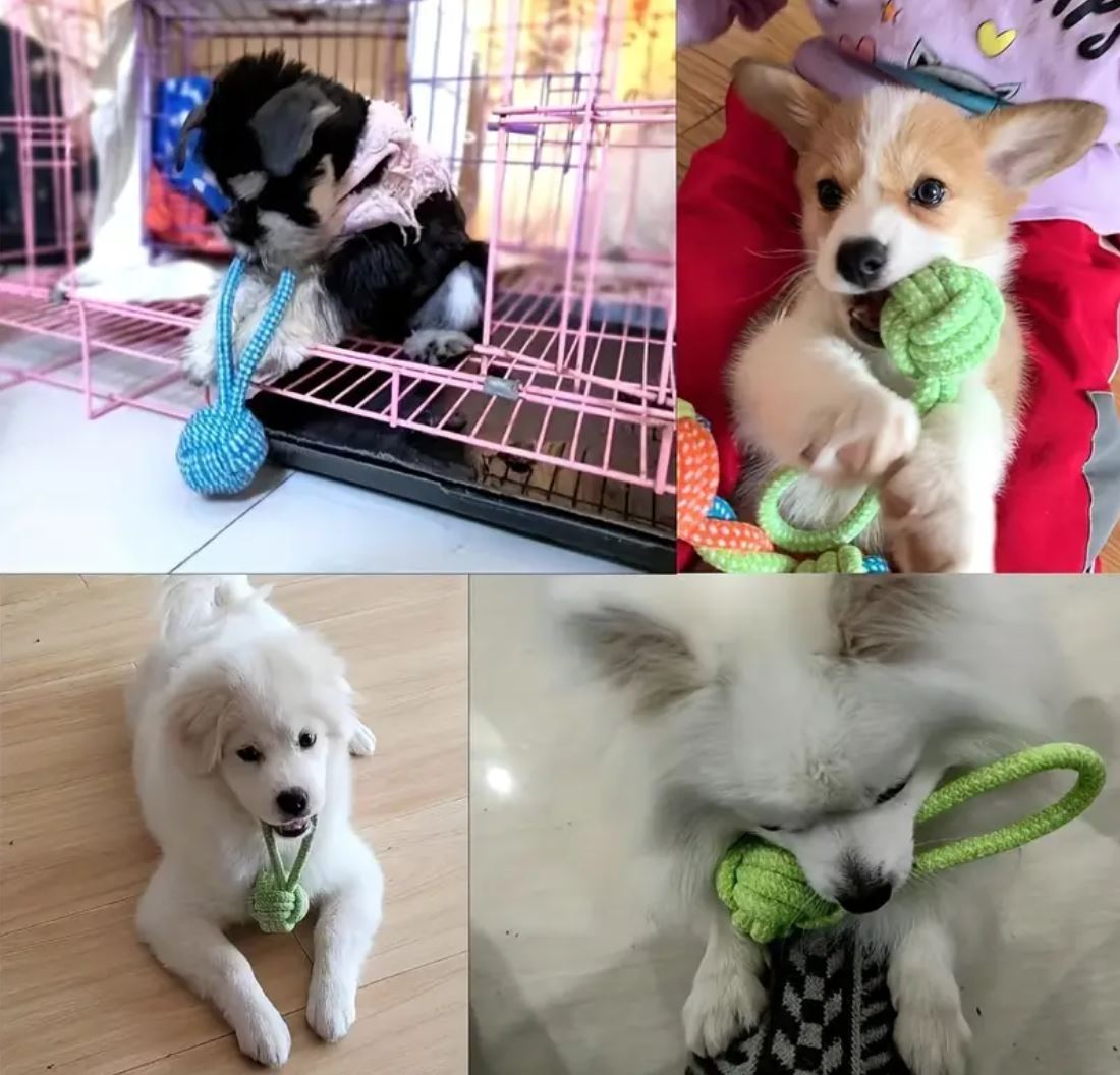 Bomulds reblegetøj - Tilfældig farve