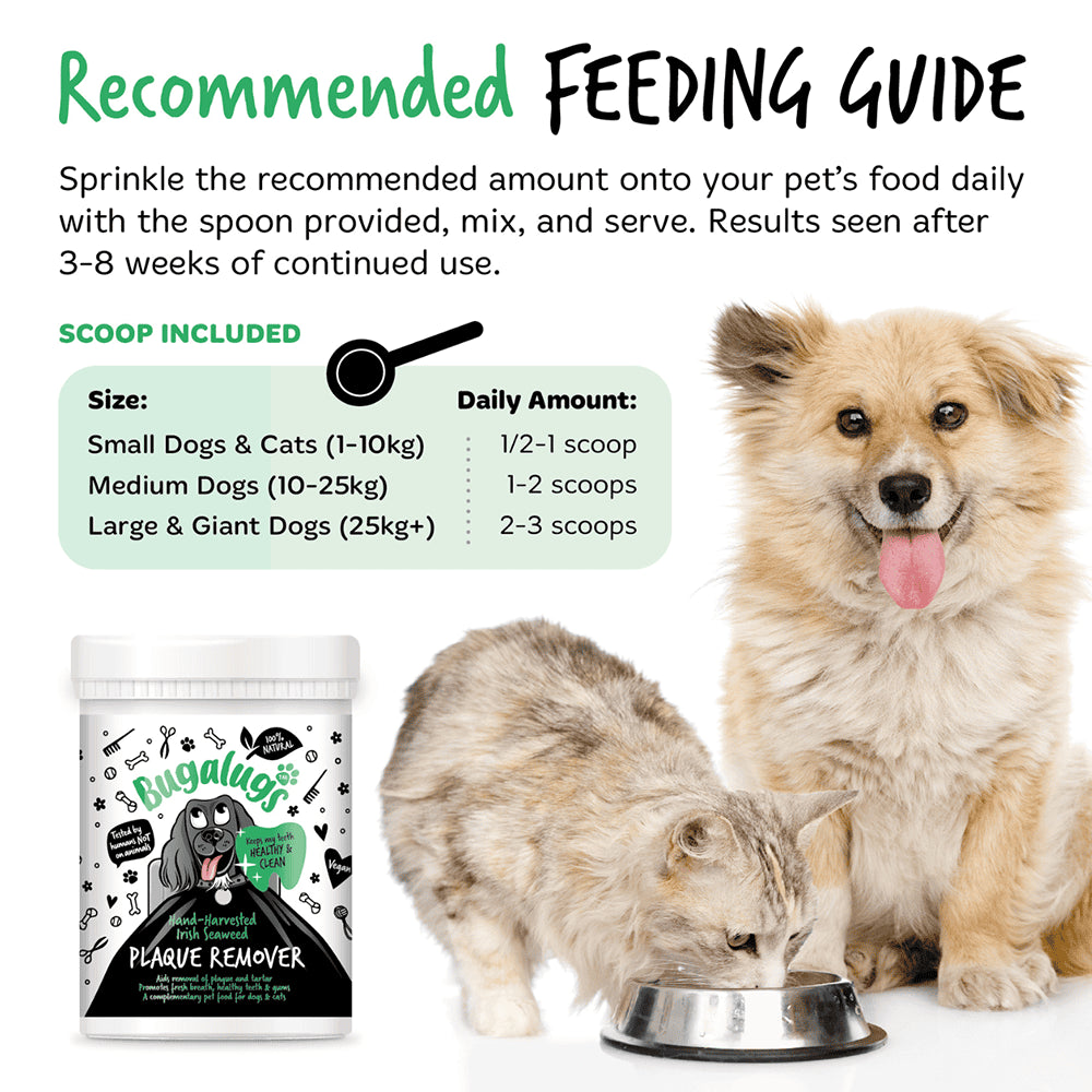 Bugalugs - Plakfjerner af håndhøstet Irsk tang - 200g