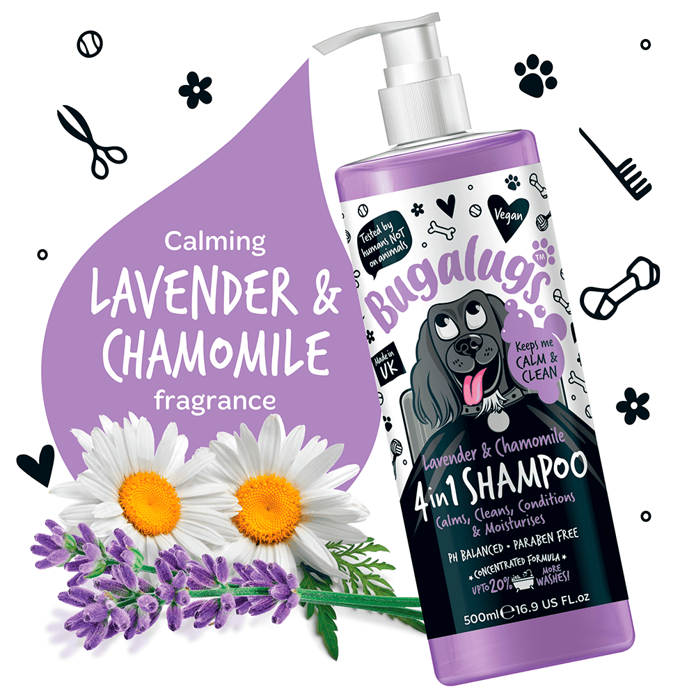 Bugalugs - Shampoo - 4 i 1 Lavendel & Kamille - 500ml