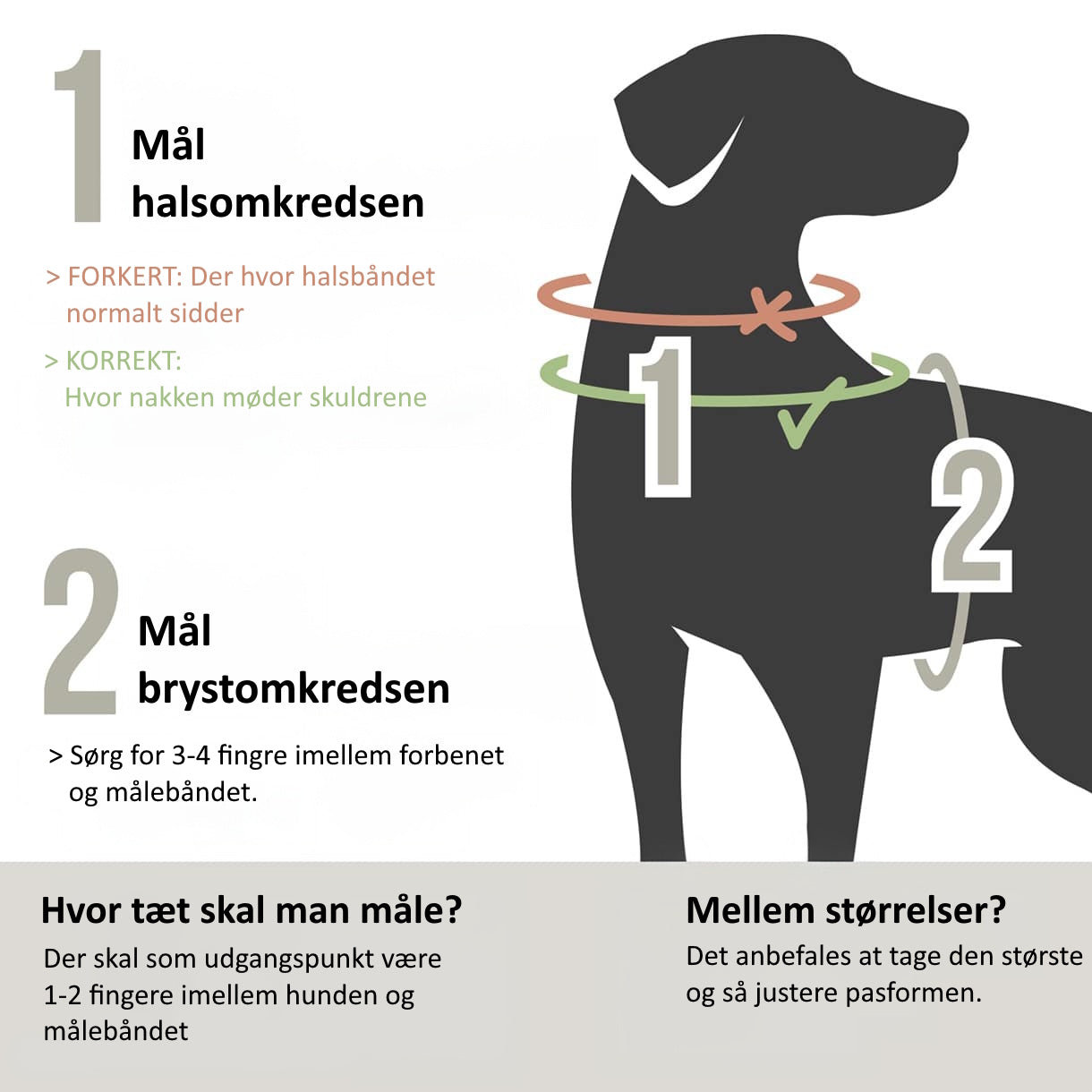 Ne&no® - Outdoor Hundesele m. støddæmper - XL