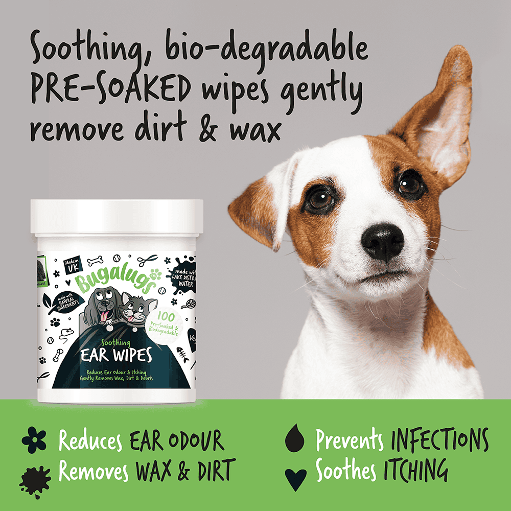 Bugalugs - Vådservietter til ørerens - 100 stk.