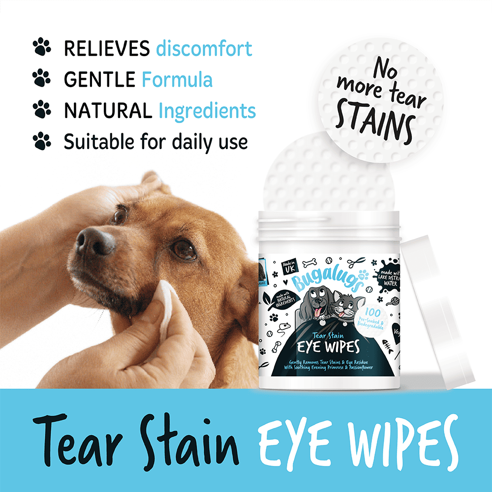 Bugalugs - Vådservietter til øjenrens - 100 stk.