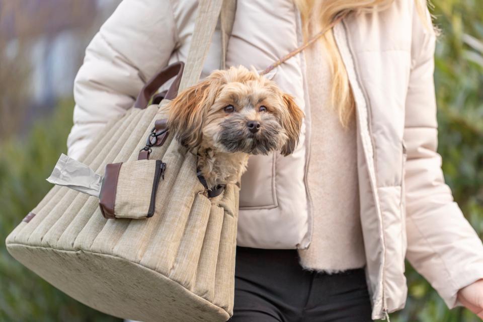 Trixie - Hundetaske - Sophie