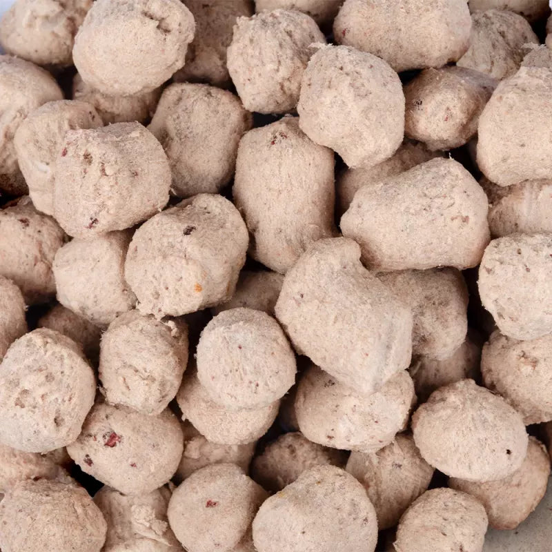 Brit - Raw Treat - Digestion m. Kylling, Probiotika & Loppefrøskaller - 40g