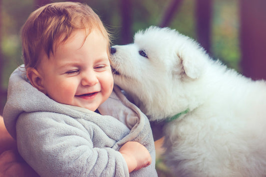 Forbered Din Hund på Babyens Ankomst: Sådan Skaber du Harmoni i Hjemmet