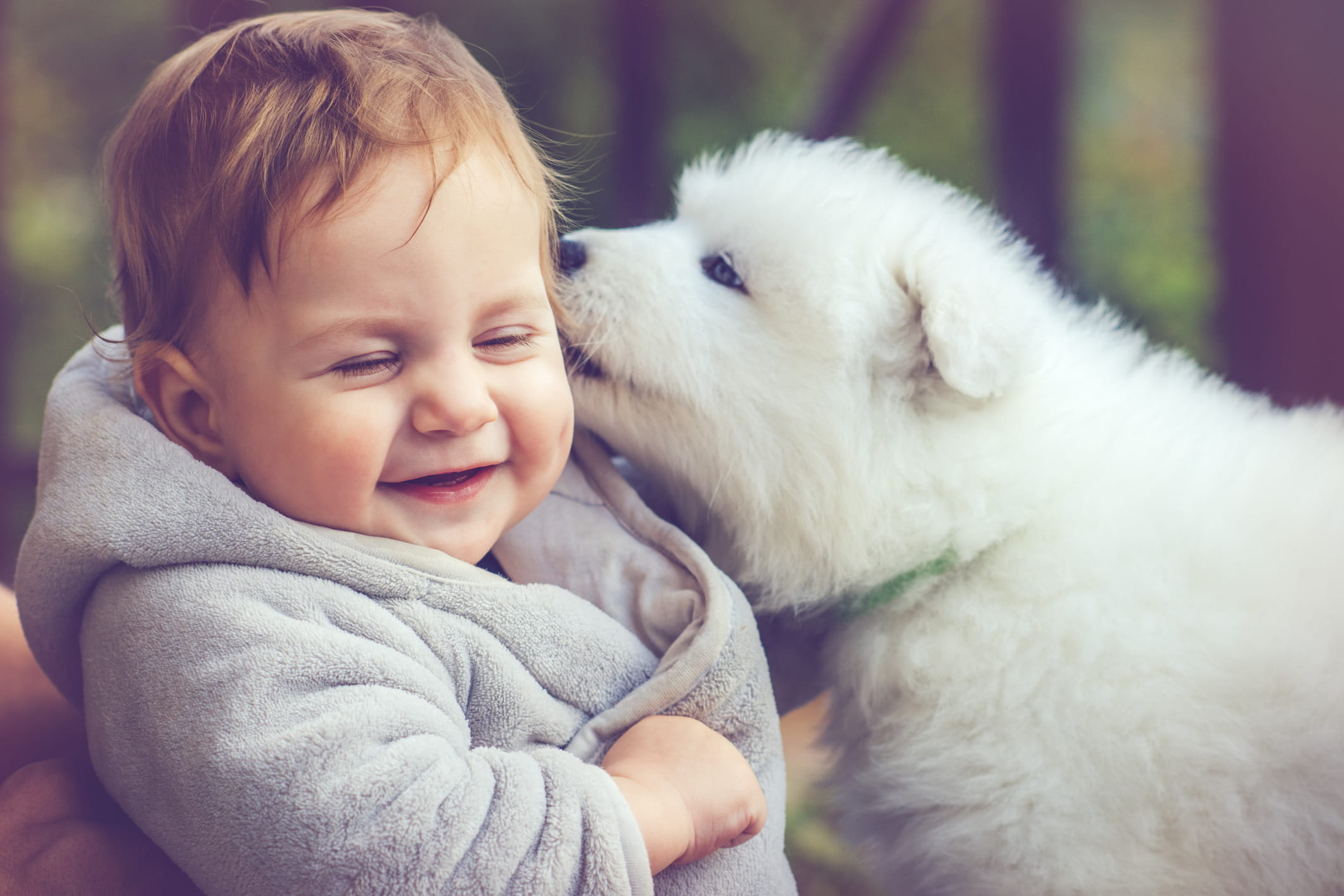 Forbered Din Hund på Babyens Ankomst: Sådan Skaber du Harmoni i Hjemmet