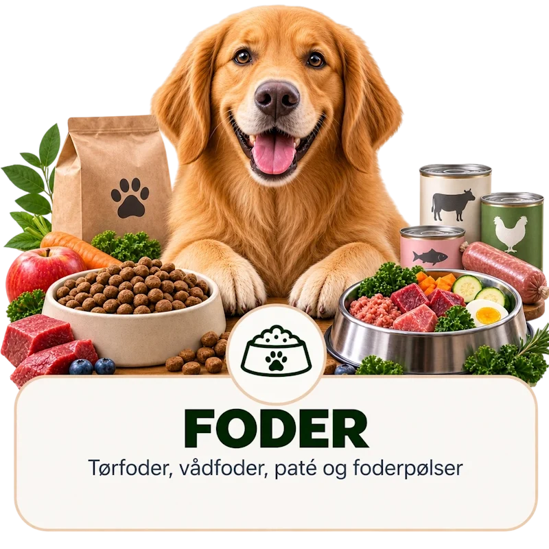 Foder