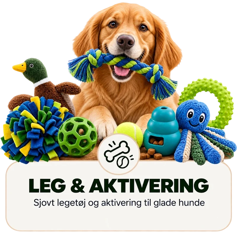 Aktiveringslegetøj
