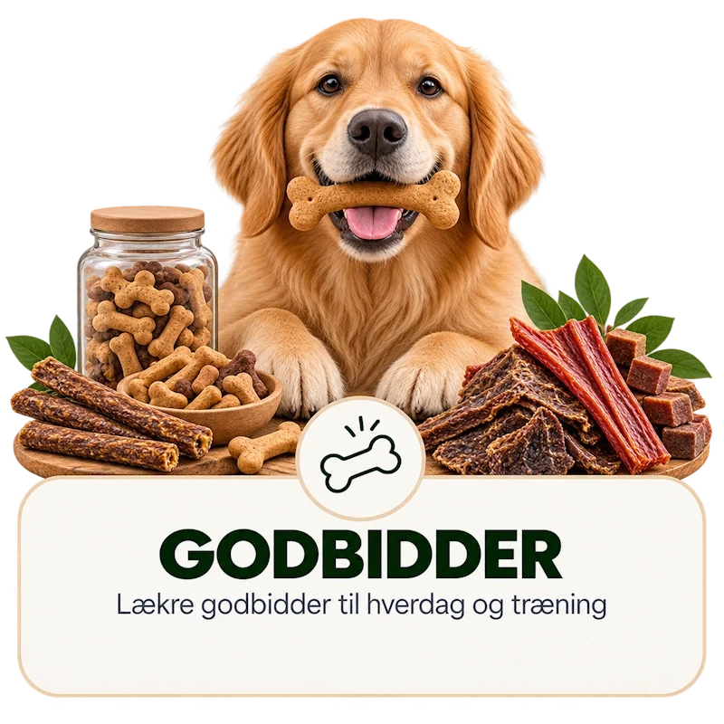 Godbidder