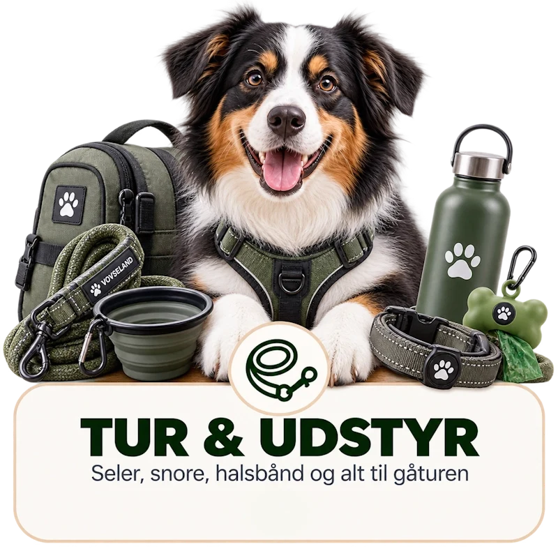 Gåturen