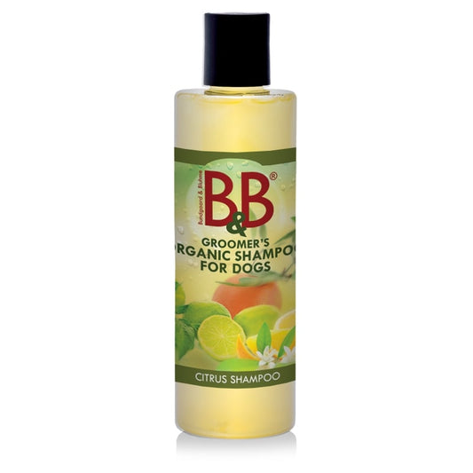 B&B - ØKO Citrus Shampoo - 250ml.