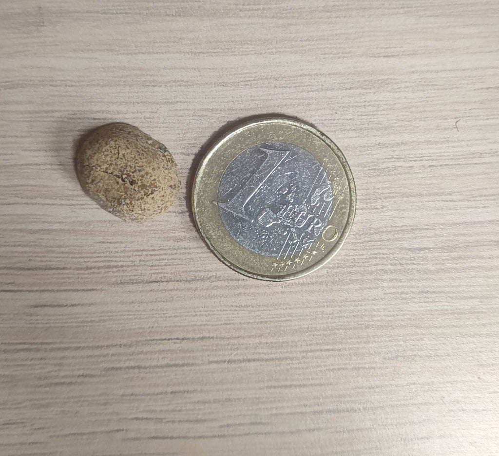 Spirit of Wild - Godbidder m. Oksekød bagt med æble - Kornfri - 150g