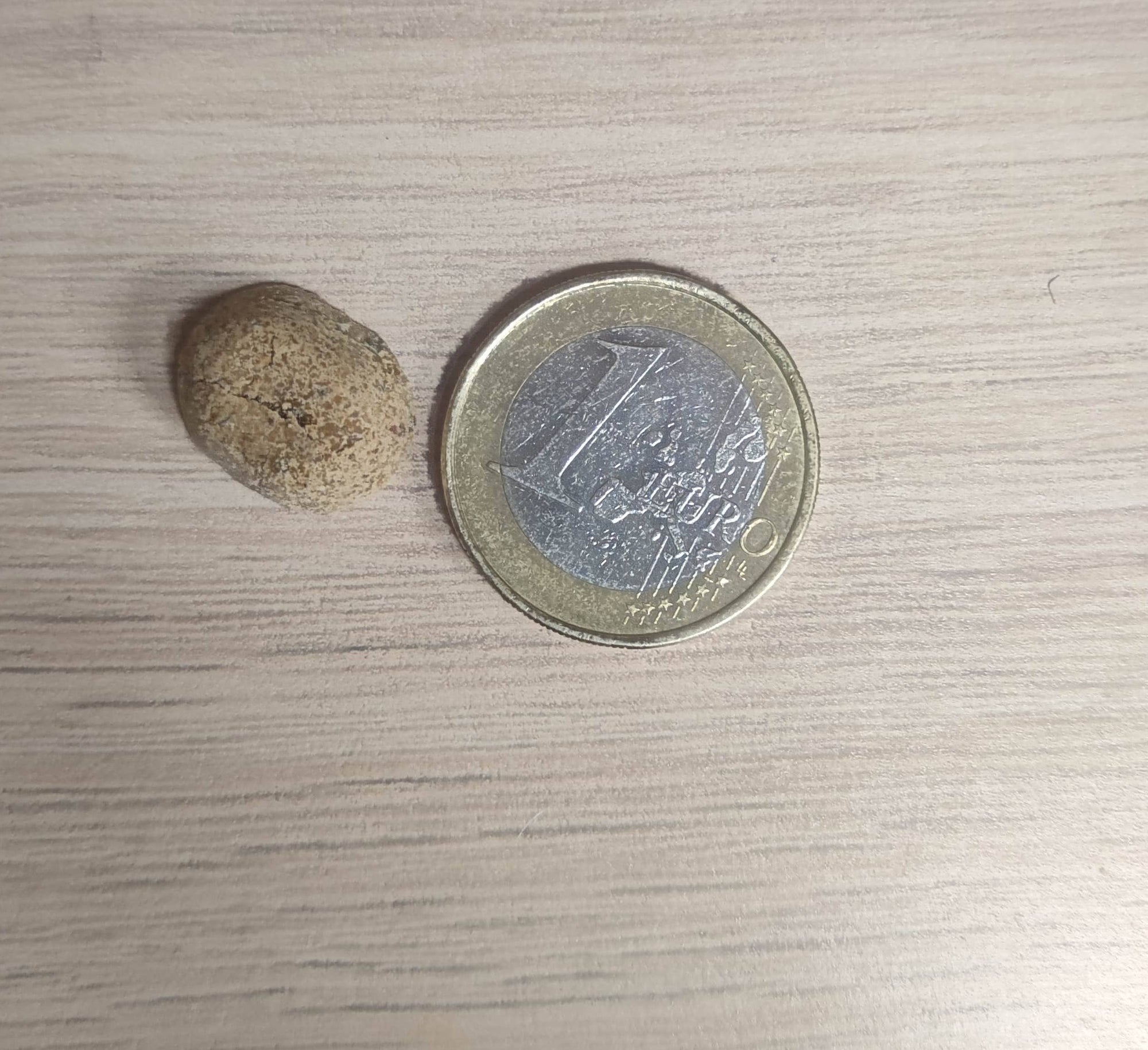 Spirit of Wild - Godbidder m. Oksekød bagt med æble - Kornfri - 150g