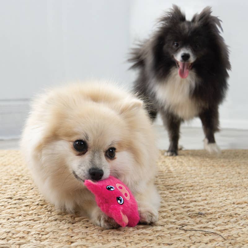 KONG - Snuzzles Mini - Gris