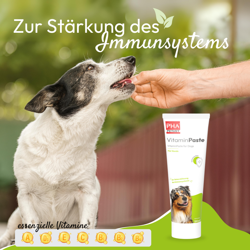 PHA - Vitaminpasta til hunde - 100ml