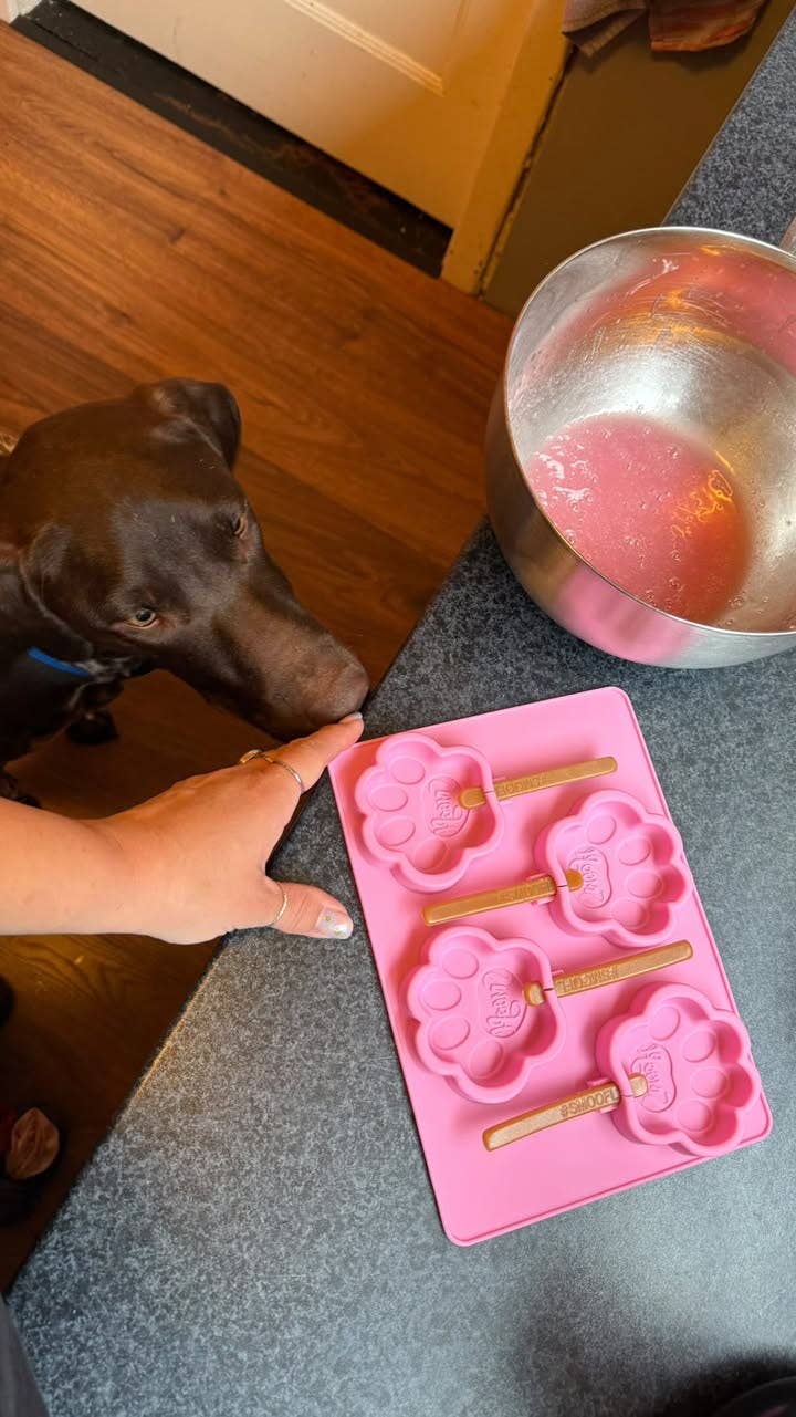 Smoofl - Ismix til hundeis - Jordbær