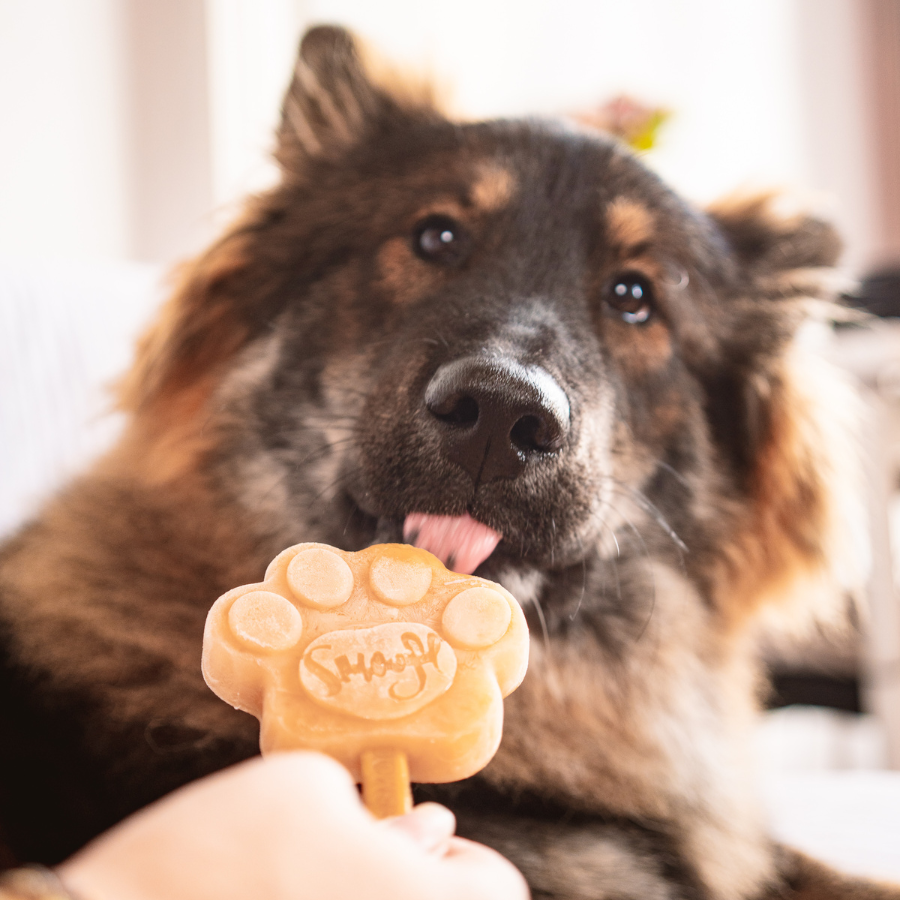 Smoofl - Ismix til hundeis - Karamel