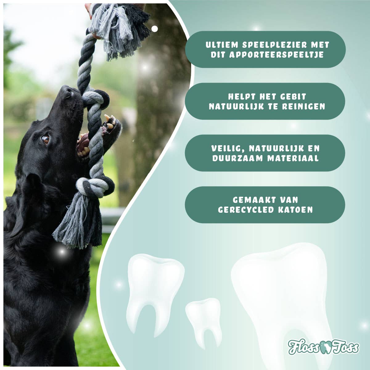 Floss Toss - Dental Reblegetøj - 2 Knuder - 30 cm