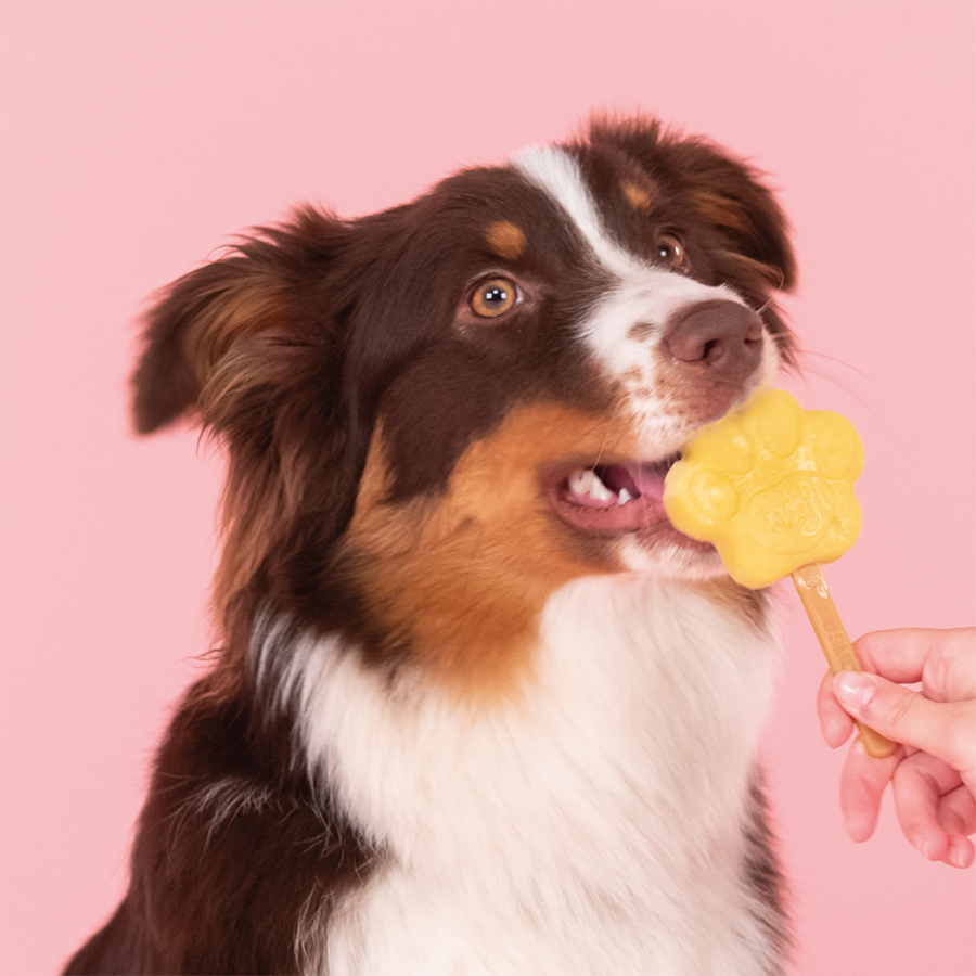 Smoofl - Silikone poteform til hundeis - Medium