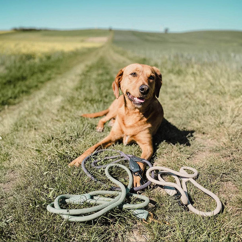 Ne&no® - Hundesnor - Mat Grøn - 170cm