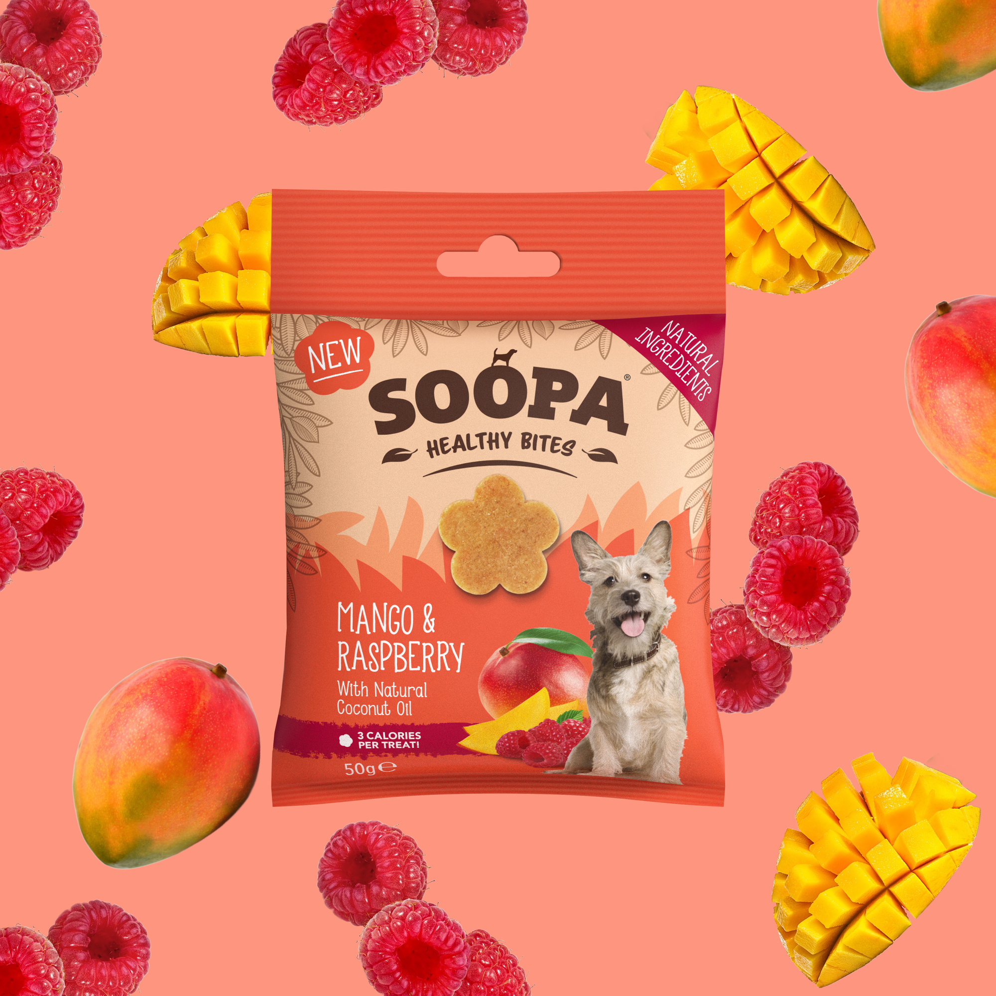 Soopa - Godbidder m. Mango & Hindbær - 50g