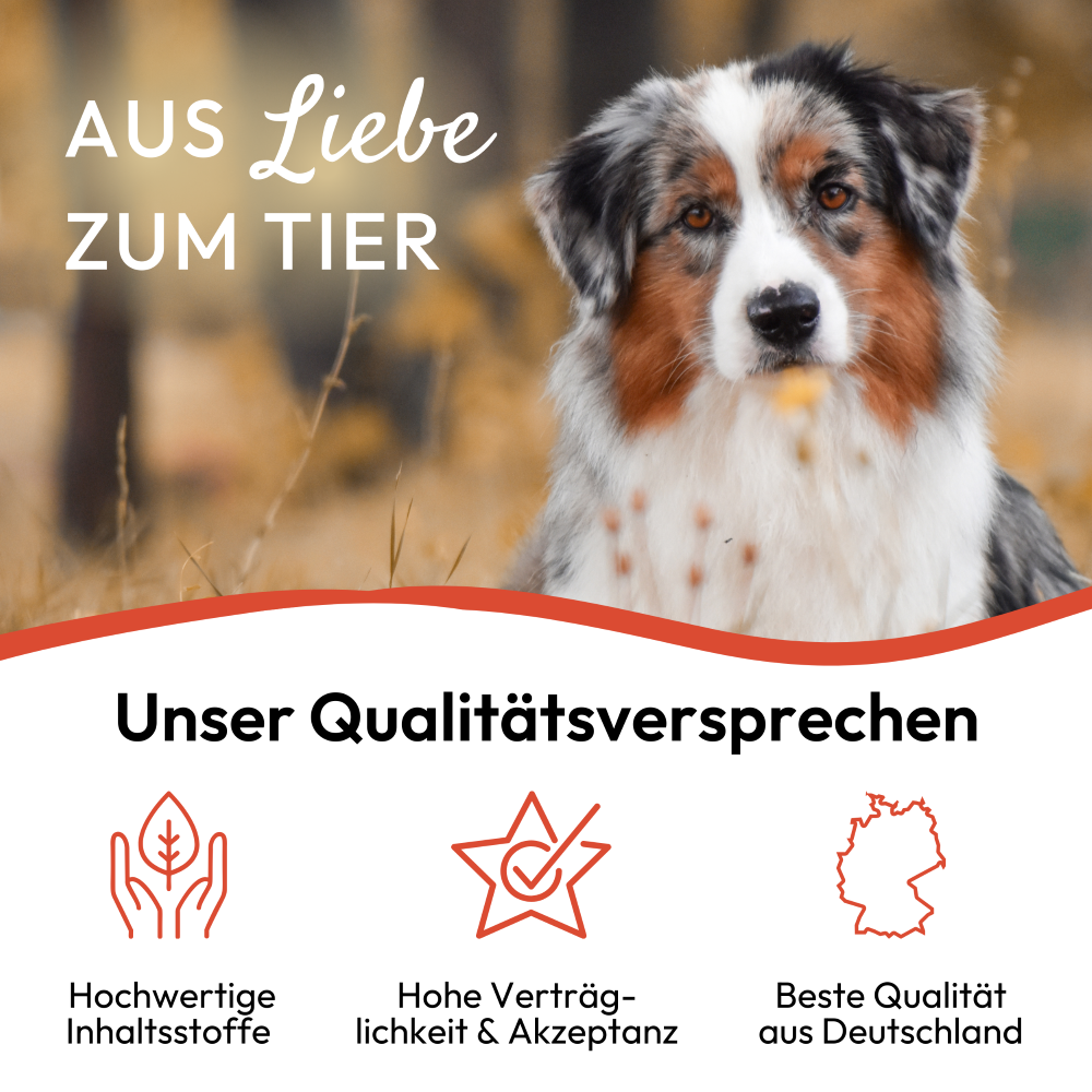 PHA - Spot-on dråber til hunde imod flåter - 2x2ml