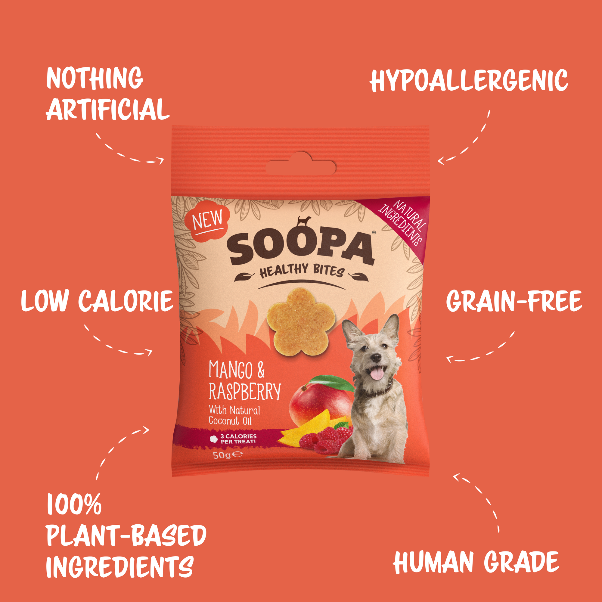 Soopa - Godbidder m. Mango & Hindbær - 50g