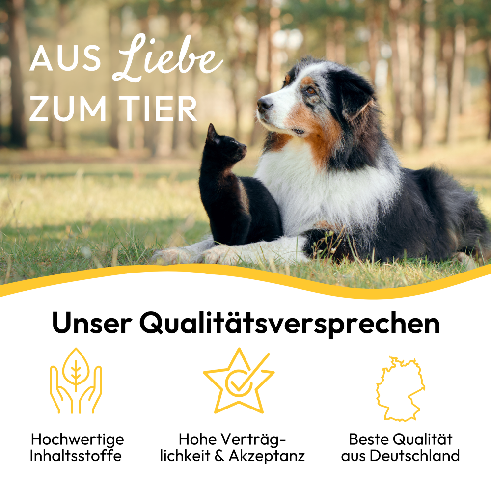 PHA - Relax shampoo til hunde - 250ml