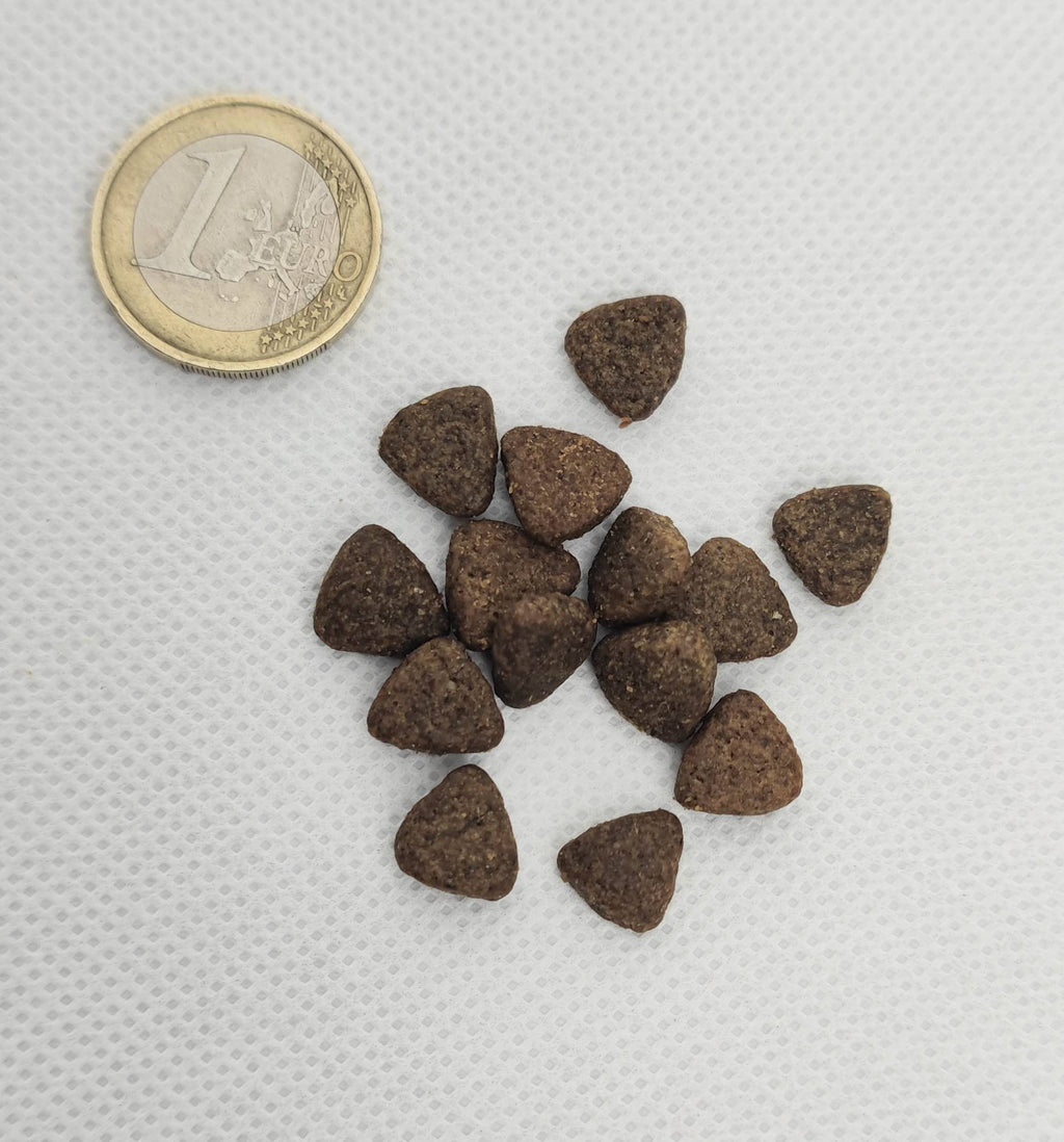 Spirit of Wild - Godbidder m. Angus Oksekød Mini - Kornfri - 150g