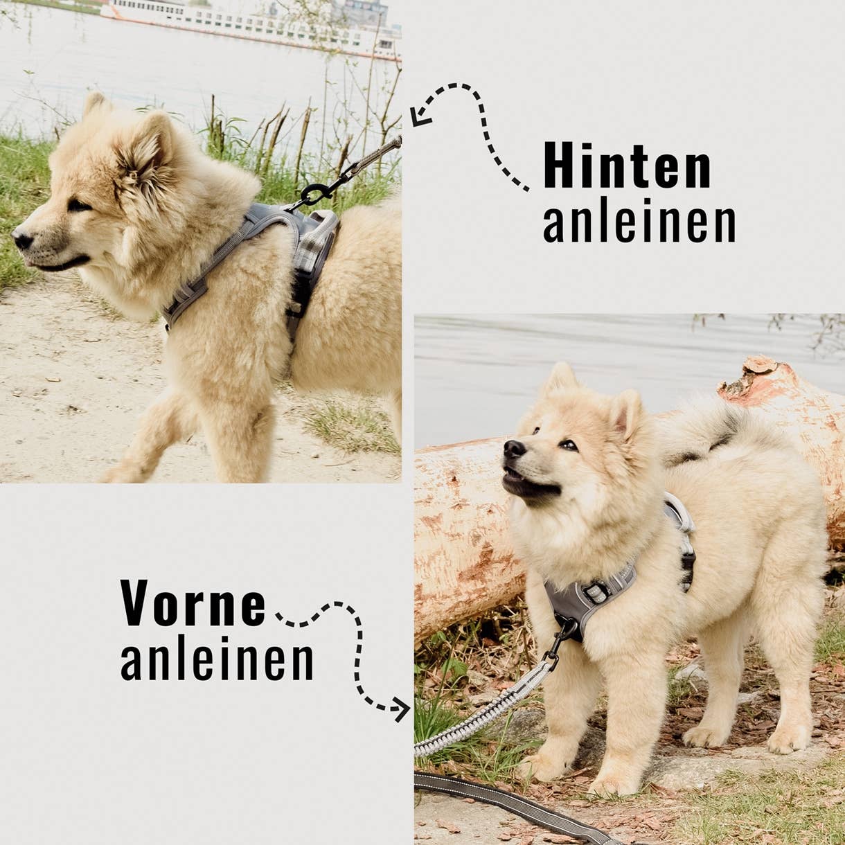 Ne&no® - Outdoor Hundesele m. støddæmper - M