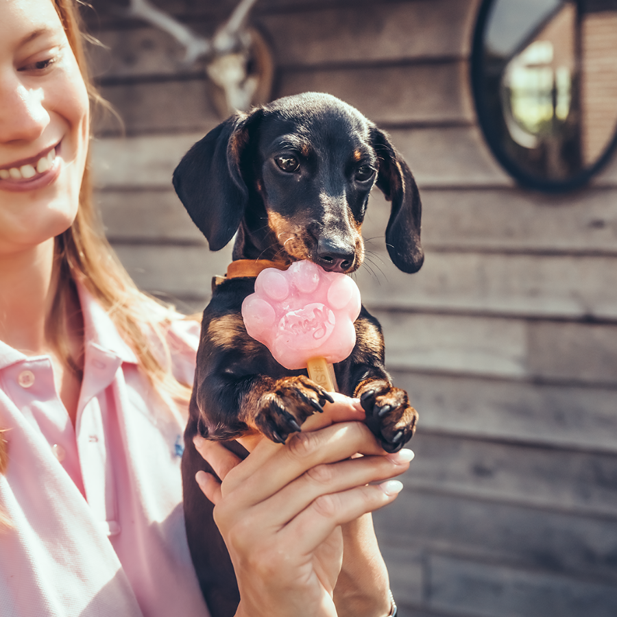 Smoofl - Starterkit til hundeis - Hvalp