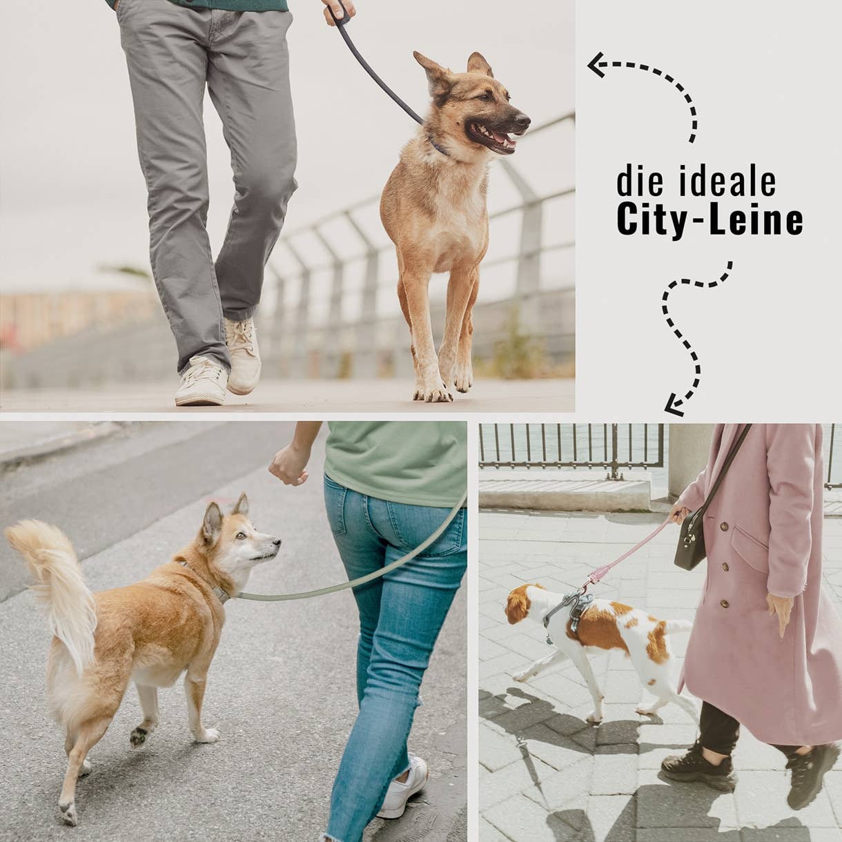 Ne&no® - Hundesnor - Aqua Blå - 170cm