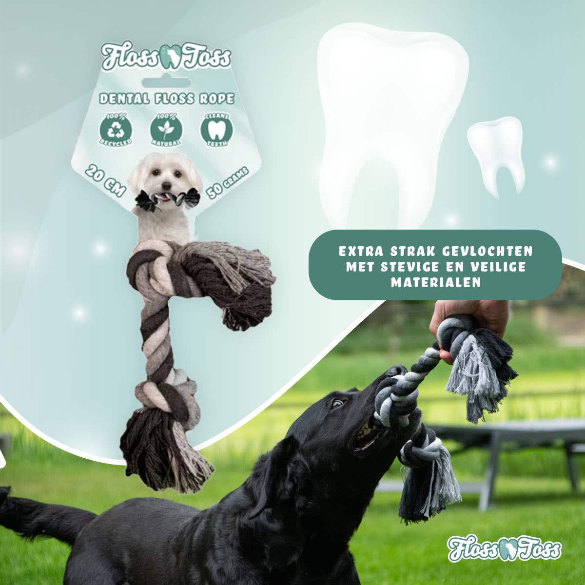 Floss Toss - Dental Reblegetøj - 2 Knuder - 30 cm