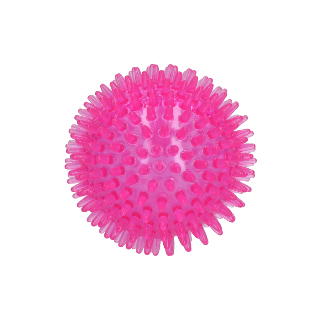 Dog Comets - Exoplanet - Pink - Str. M