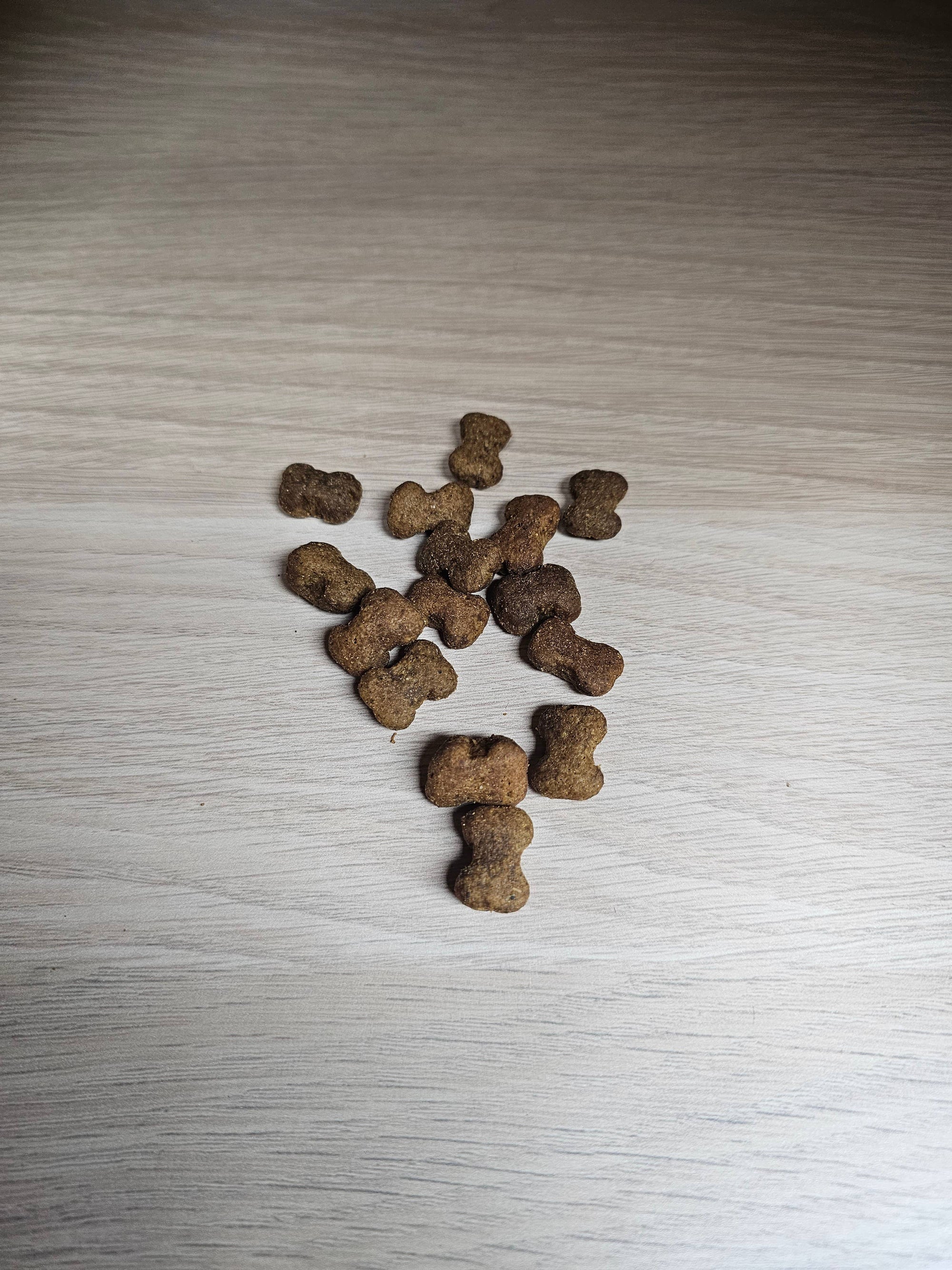 Spirit of Wild - Godbidder - Fordøjelse - Kornfri - 120g