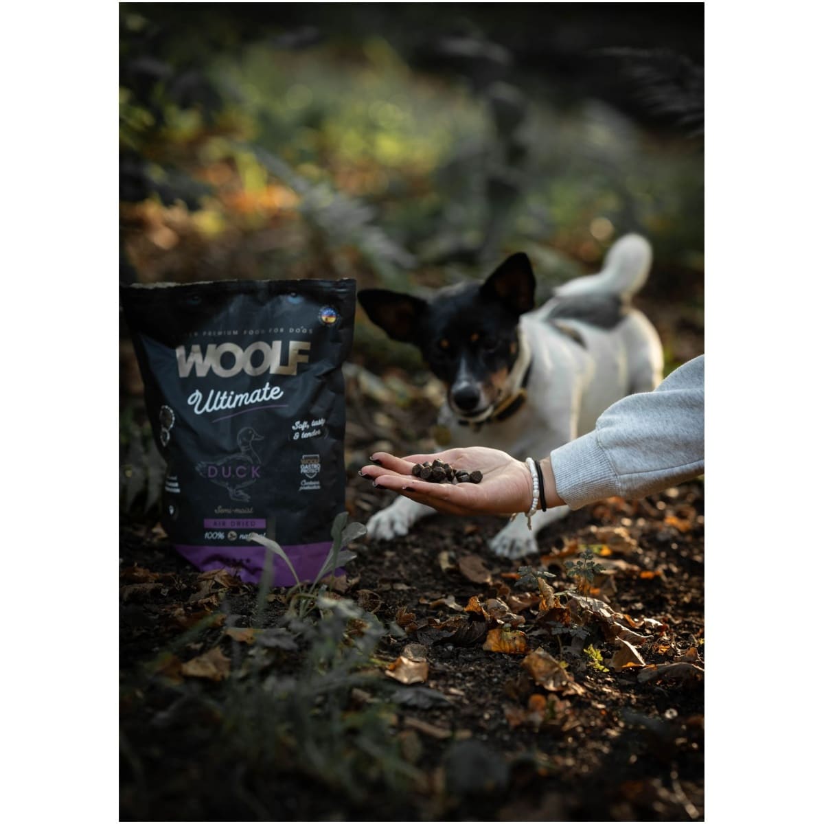 Woolf Ultimate - Lufttørret hundefoder m. And - 1kg