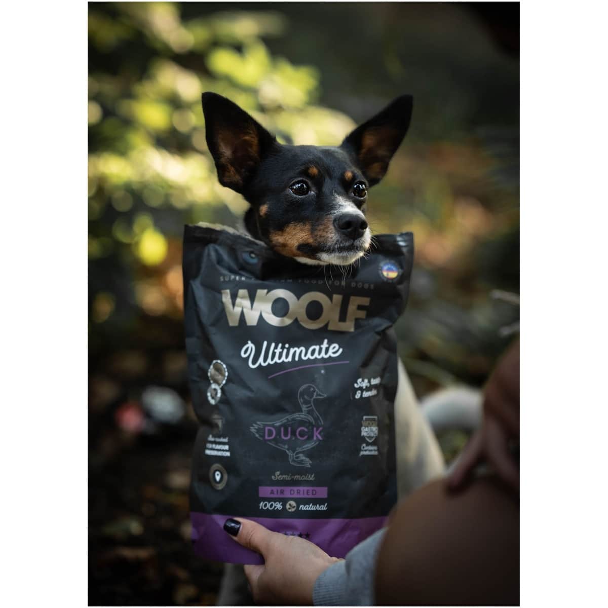 Woolf Ultimate - Lufttørret hundefoder m. And - 1kg