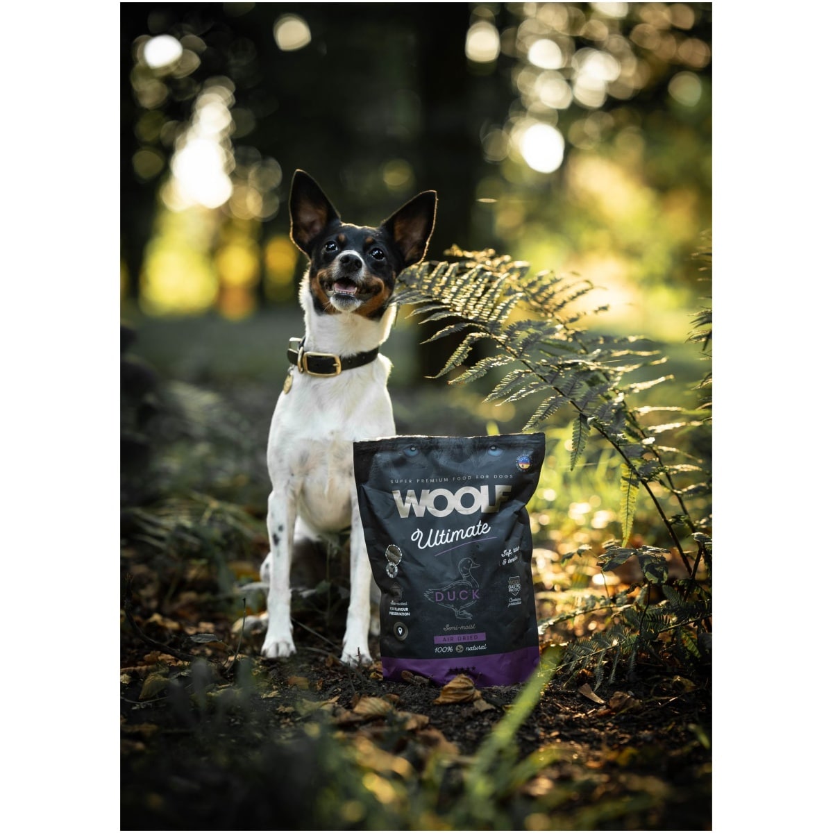 Woolf Ultimate - Lufttørret hundefoder m. And - 1kg