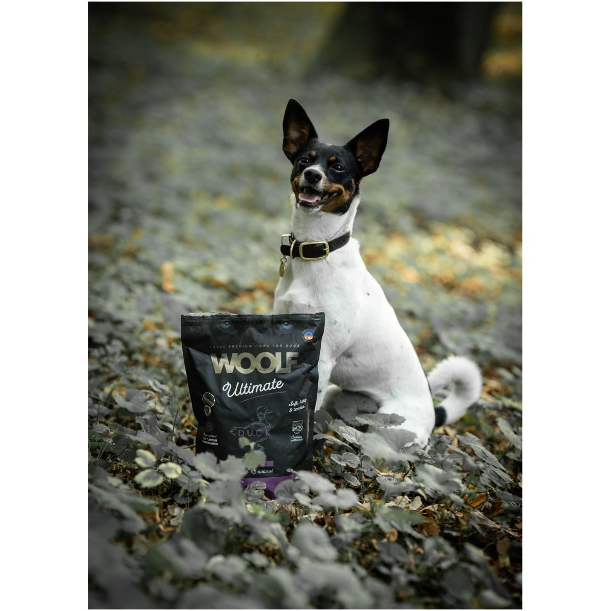 Woolf Ultimate - Lufttørret hundefoder m. And - 1kg