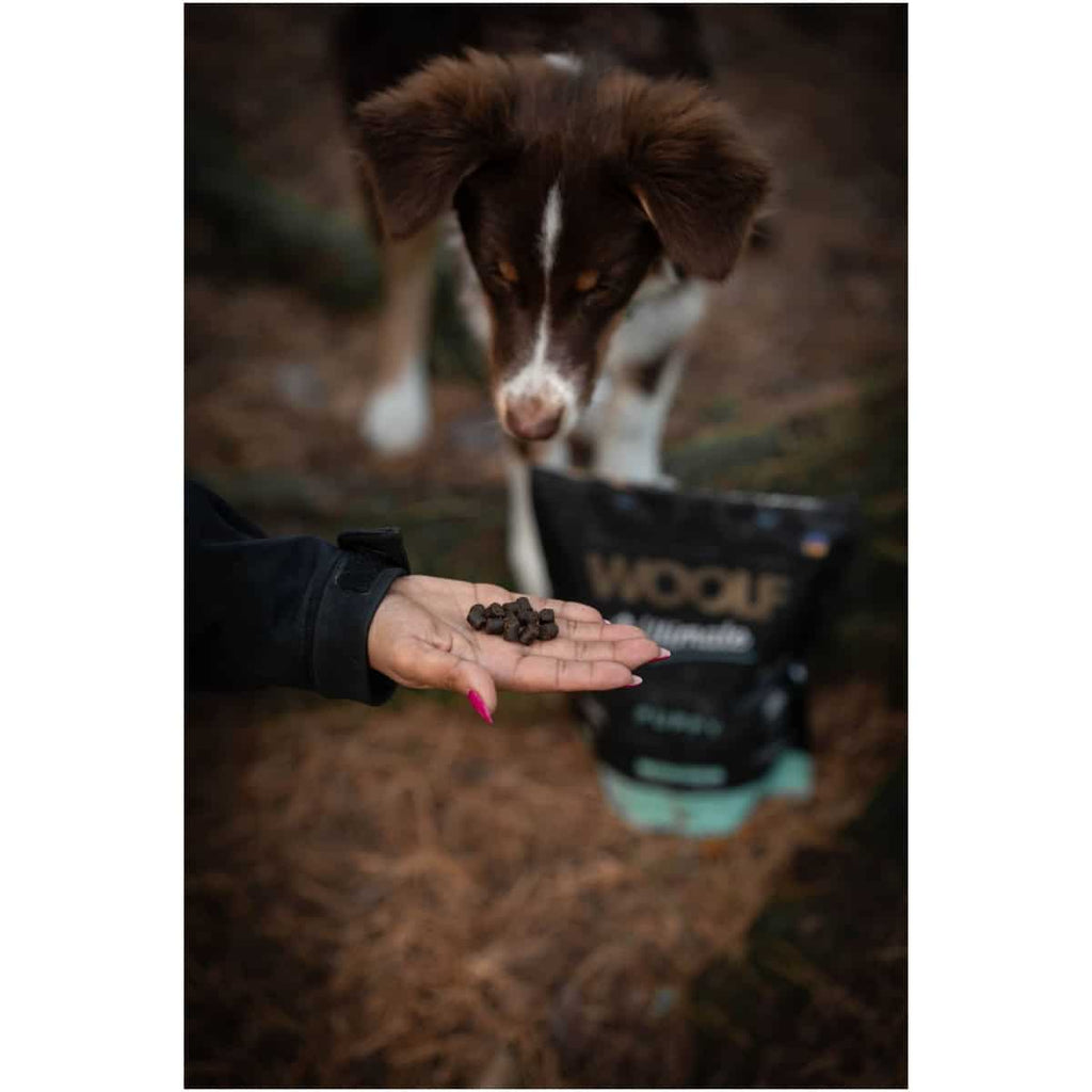Woolf Ultimate - Lufttørret hundefoder til hvalp - 1kg