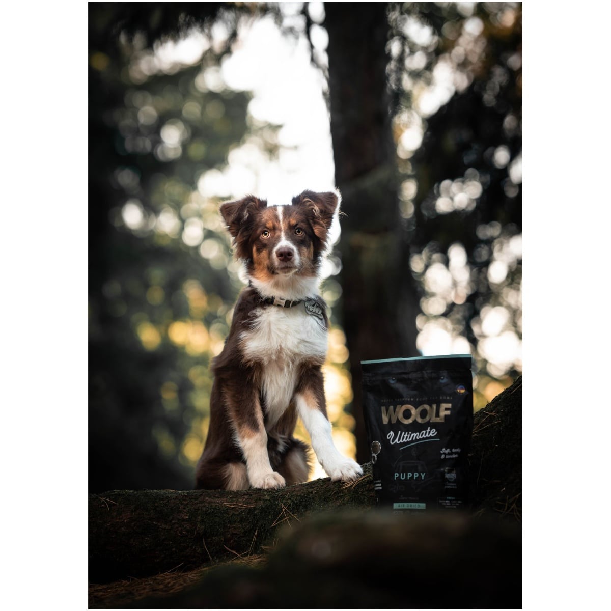 Woolf Ultimate - Lufttørret hundefoder til hvalp - 1kg