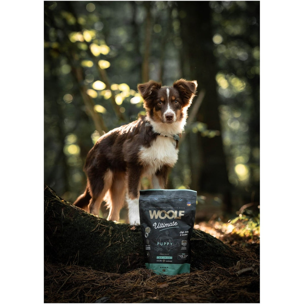 Woolf Ultimate - Lufttørret hundefoder til hvalp - 1kg