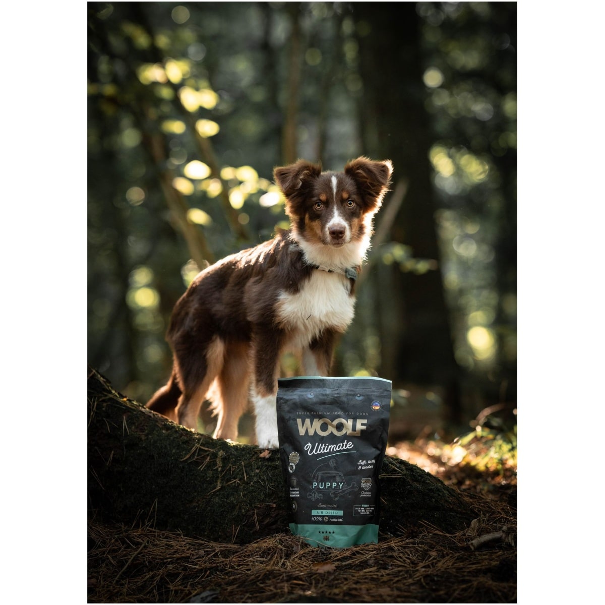 Woolf Ultimate - Lufttørret hundefoder til hvalp - 1kg
