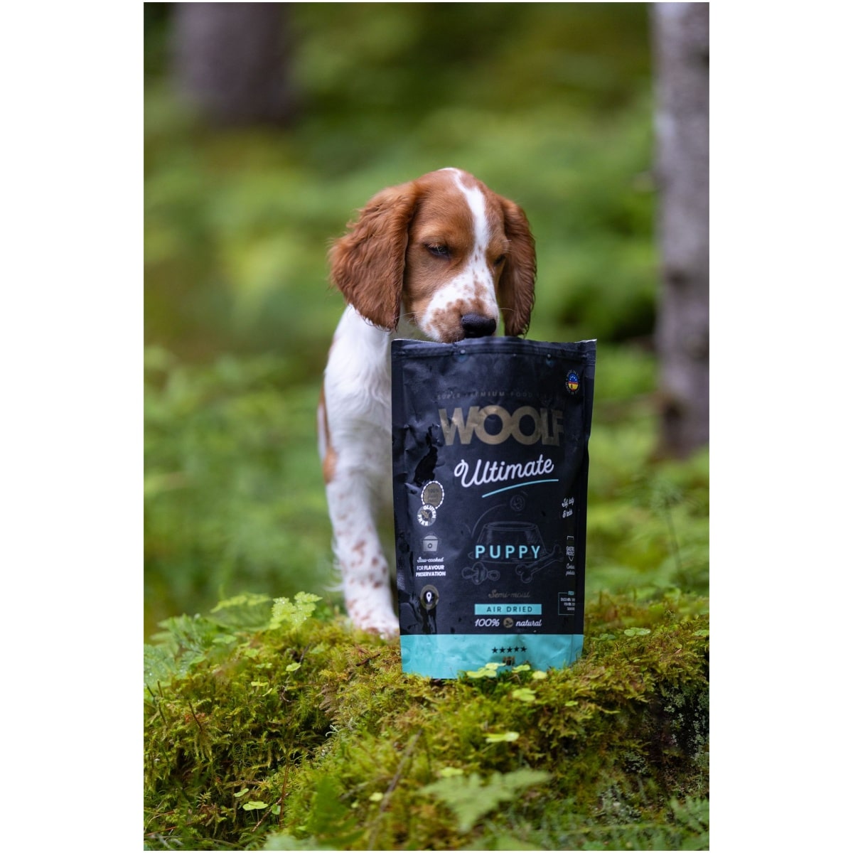 Woolf Ultimate - Lufttørret hundefoder til hvalp - 1kg