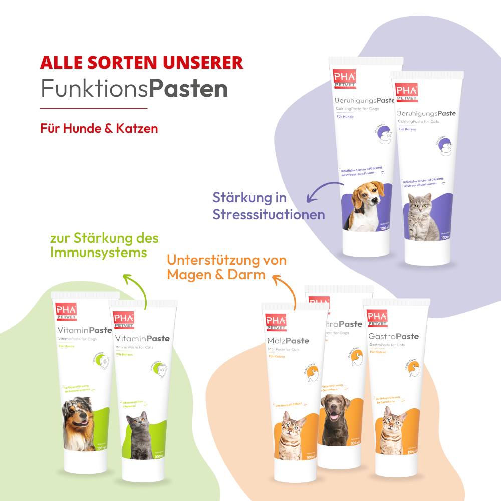 PHA - Vitaminpasta til hunde - 100ml