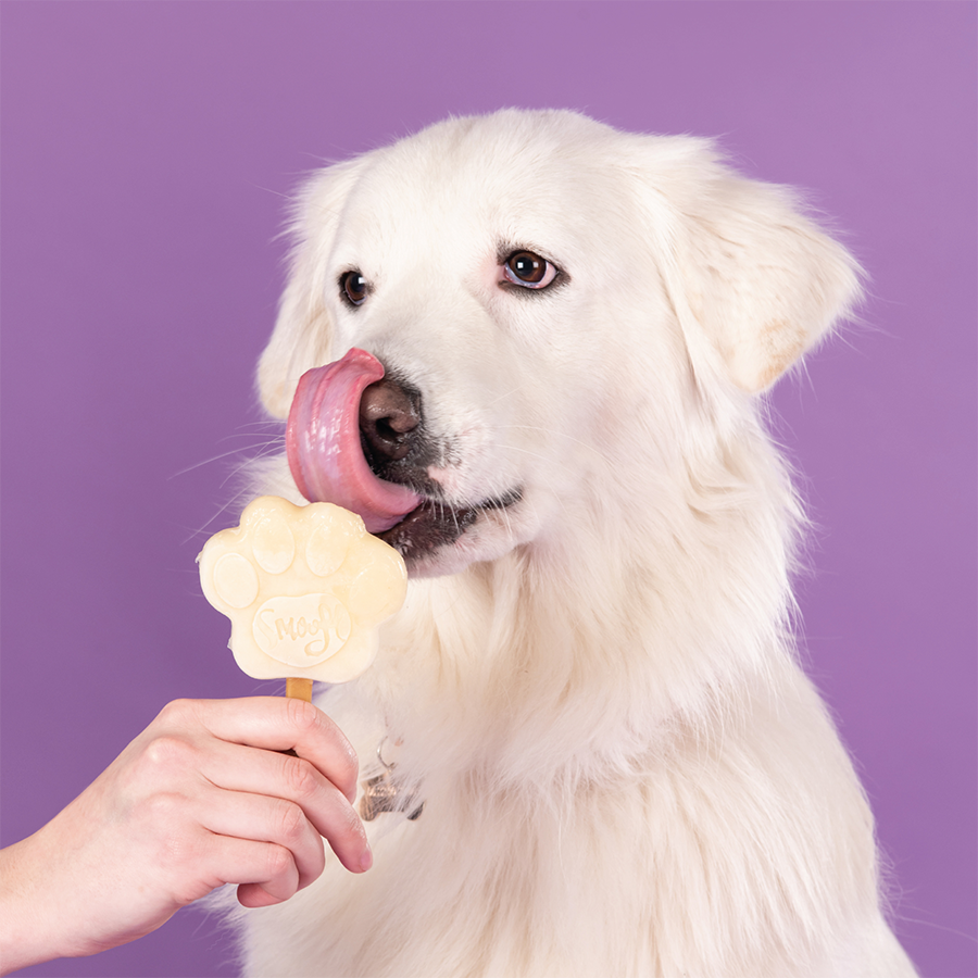 Smoofl - Ismix til hundeis - Banan