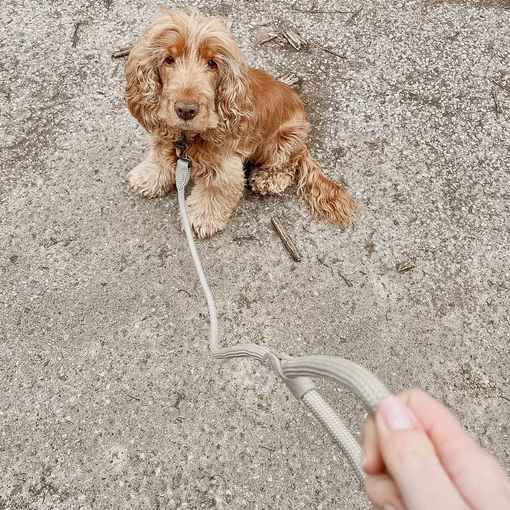 Ne&no® - Hundesnor - Mat Grøn - 170cm