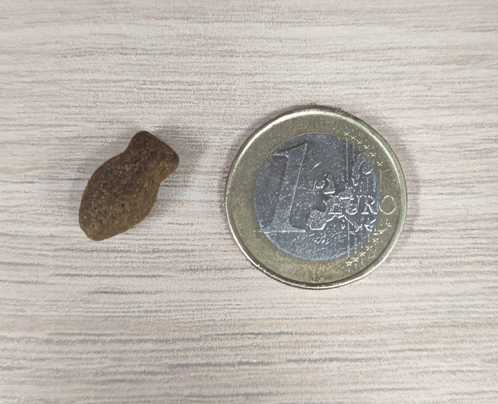 Spirit of Wild - Godbidder m. Fisk - Kornfri - 150g