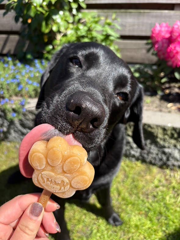 Smoofl - Ismix til hundeis - Peanut Butter