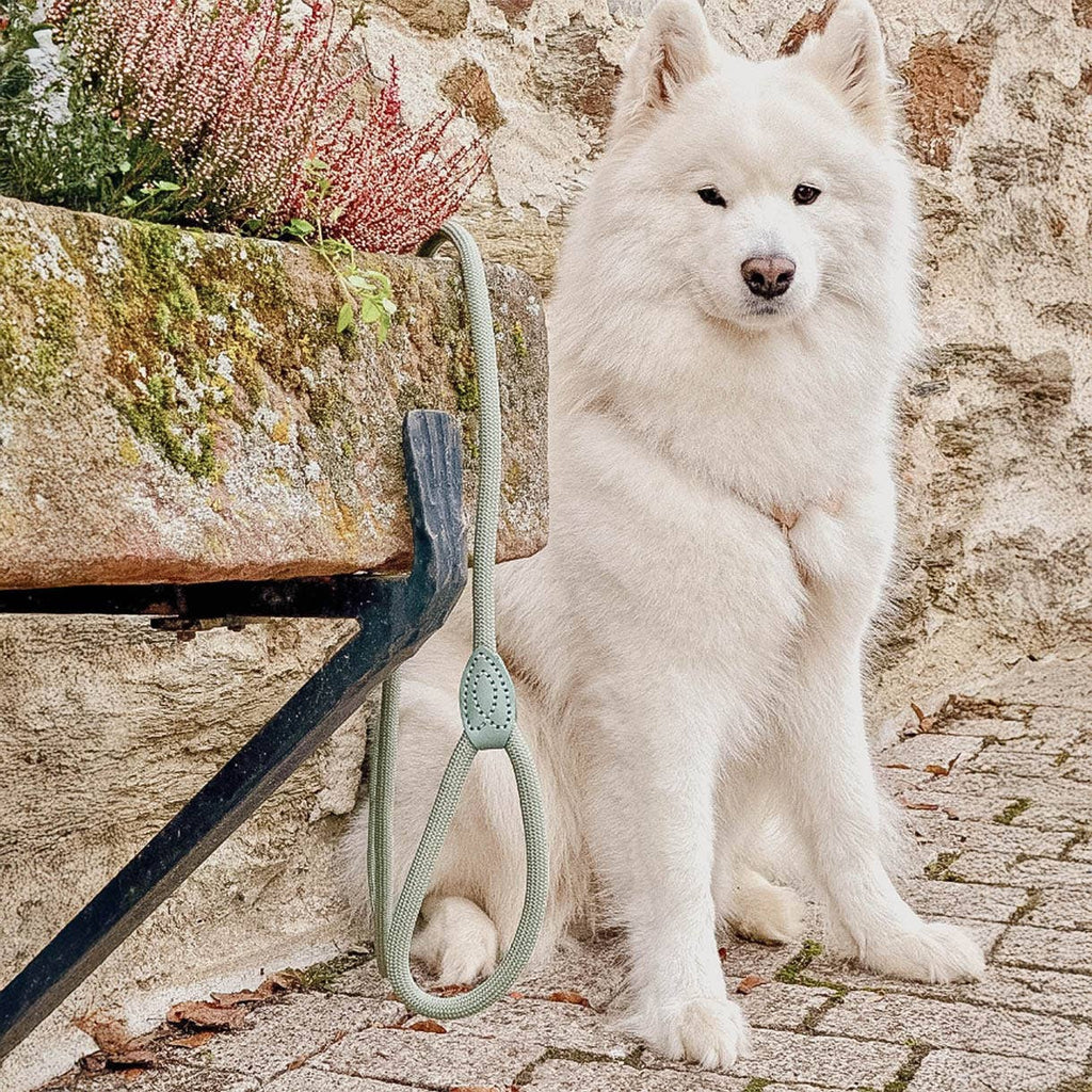 Ne&no® - Hundesnor - Mat Grøn - 170cm